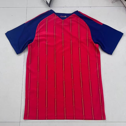 Camiseta Mundial Roja España